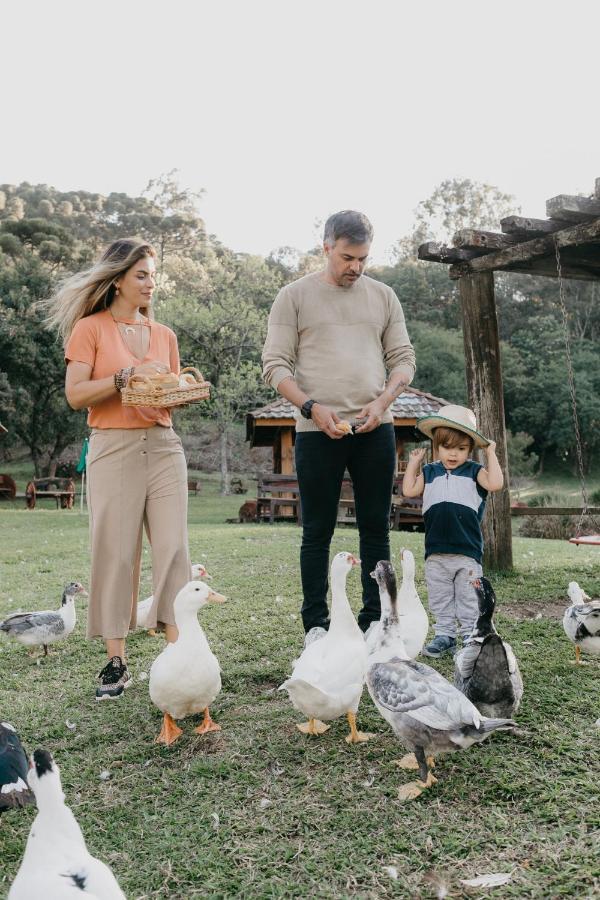 Lodge Hotel Fioreze Chales Gramado