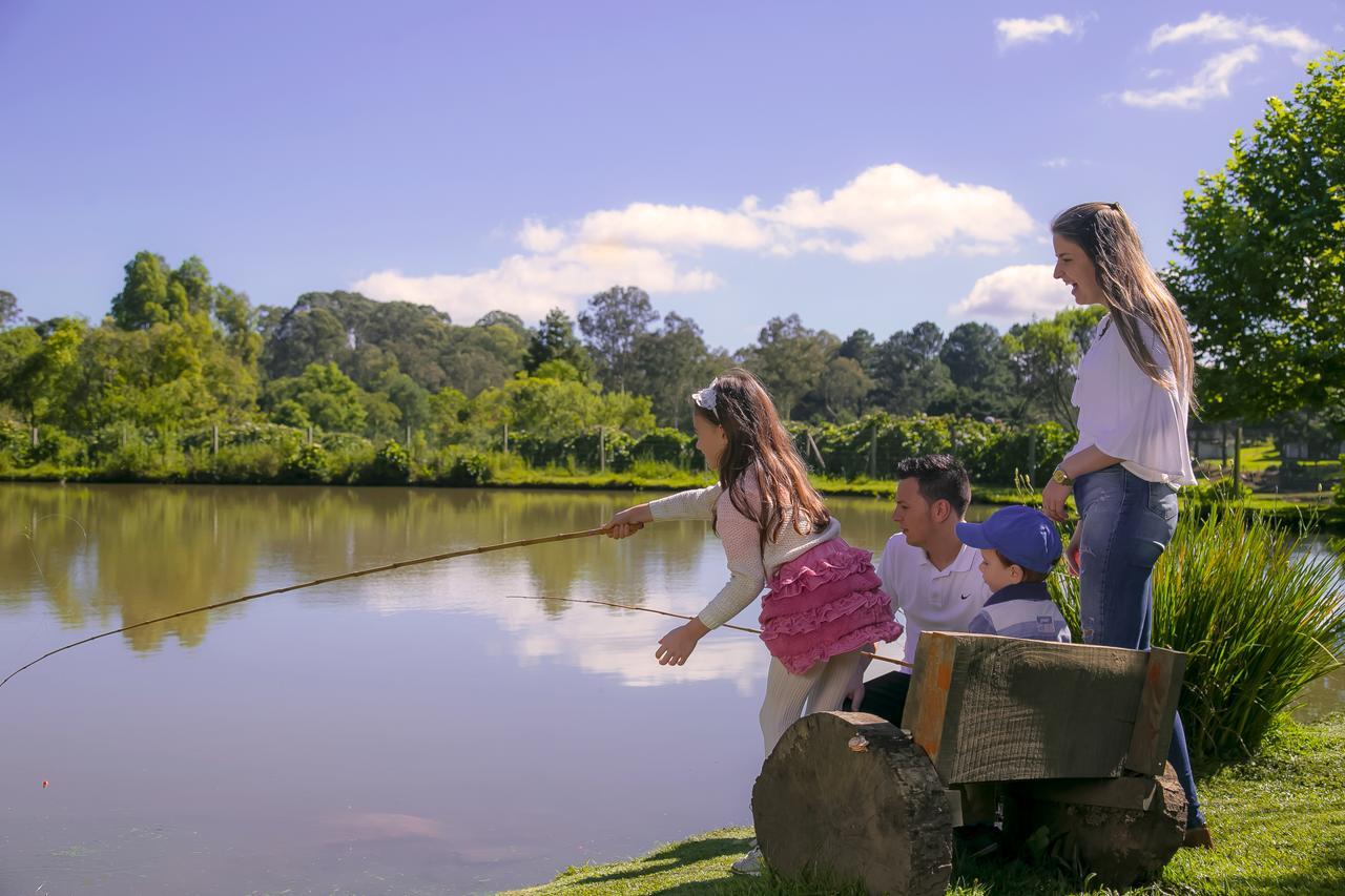 Família Fioreze
