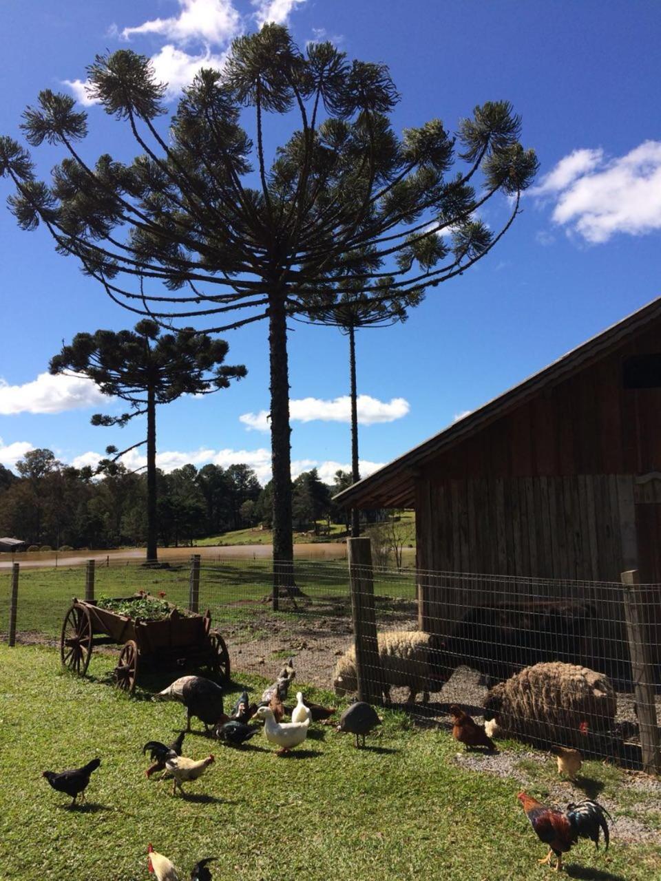 Família Fioreze Alojamento de Turismo Selvagem Gramado